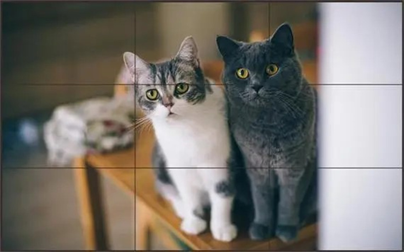 1702373279275229.jpg 易于维护安装.jpg