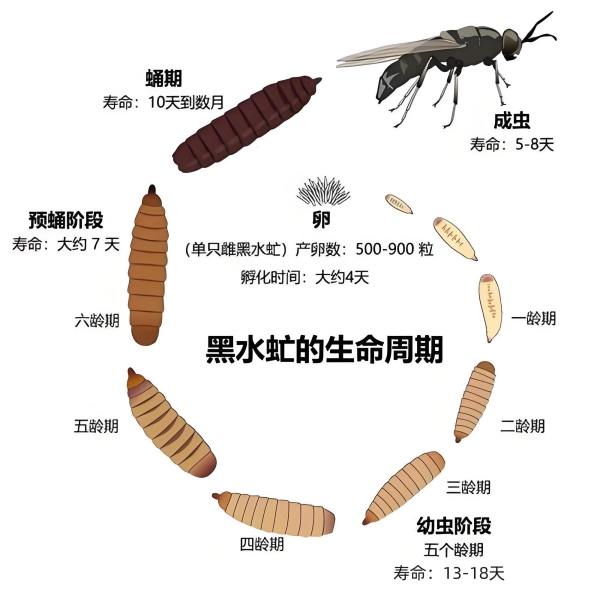 2_副本.jpg