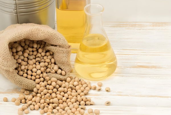 1751007815614192.jpg 03_副本.jpg