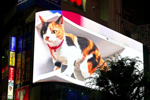 1768465801429204.jpeg 5.jpeg